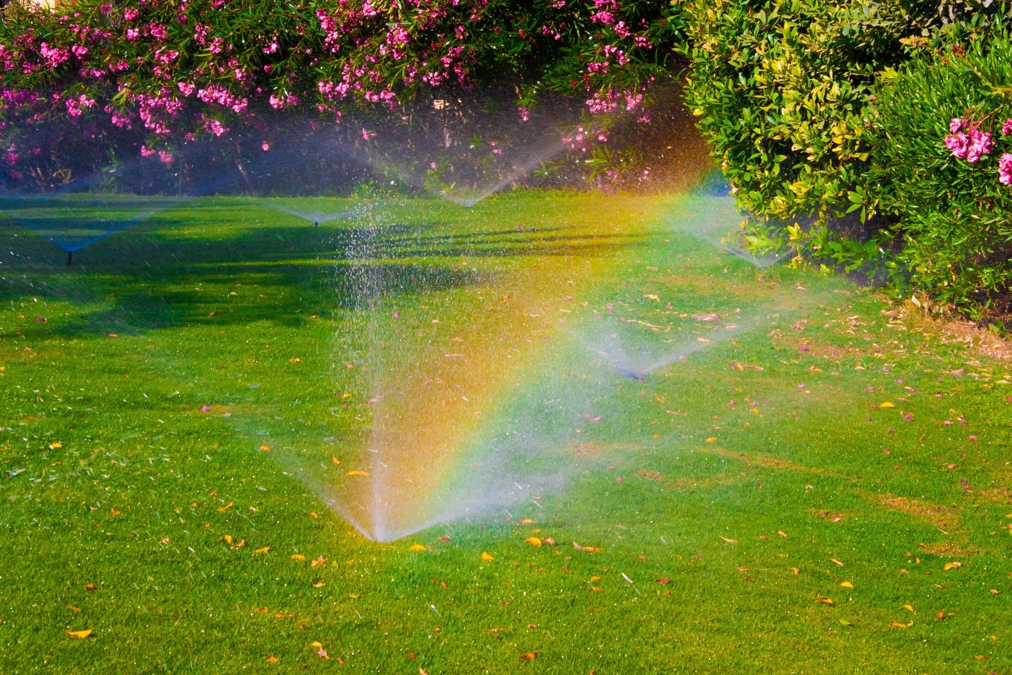 How to check for problems in your garden sprinklers