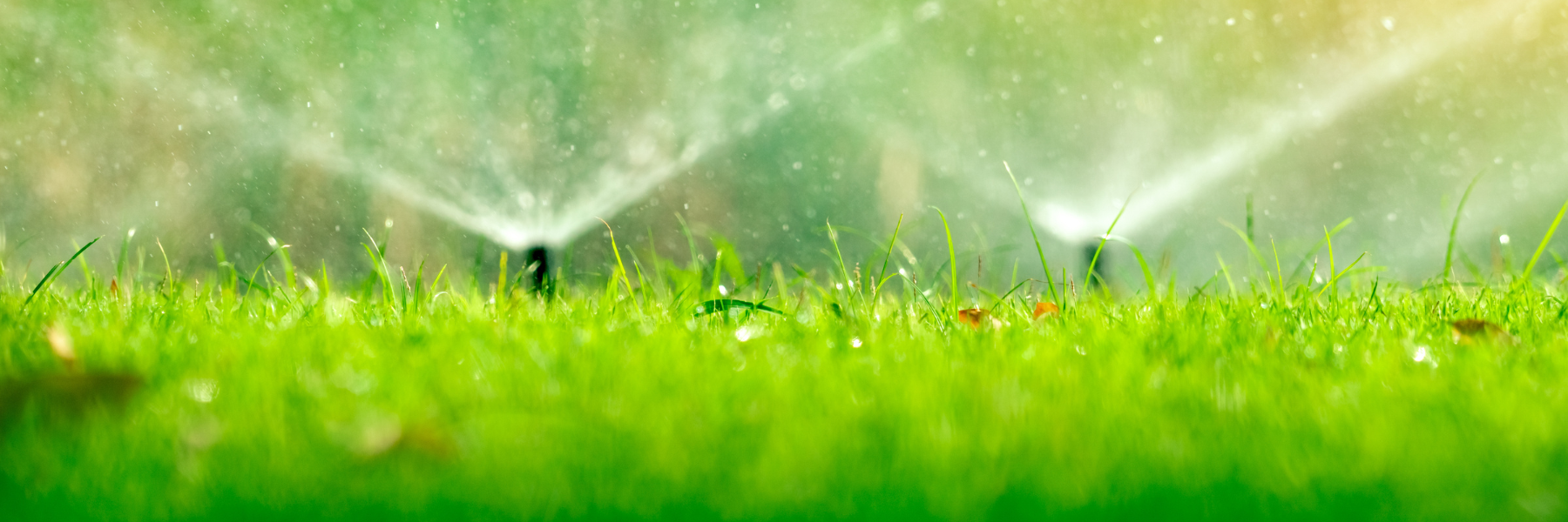 Grass with smart reticulation sprinklers